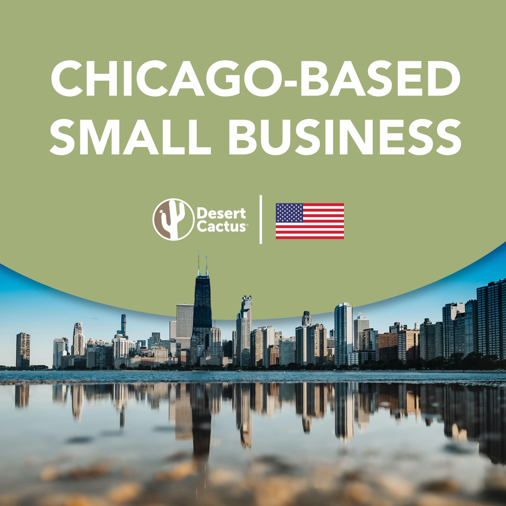 Desert Cactus University of Texas Longhorns UT Austin Large Insulated Stainless Steel Handle Lid Straw Reusable Double Walled Cup Hot Cold Drinkware Laser Etched (40oz Ounce Rally Tumbler)